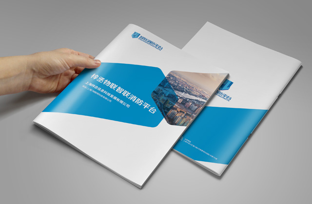 上海梓丞｜系統(tǒng)軟件畫冊策劃設計